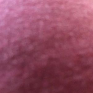 Meet your Posher, Meredith